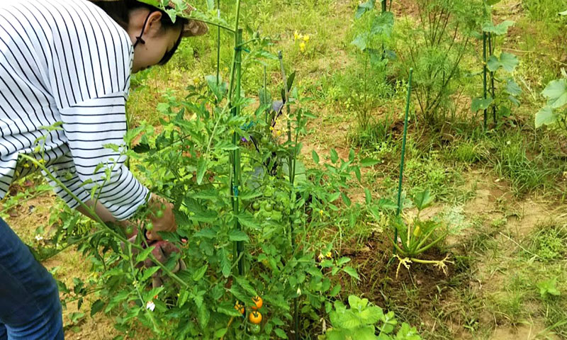 季節を楽しむ手仕事